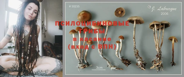 СК Киренск