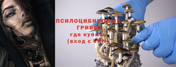 дурь Кинешма