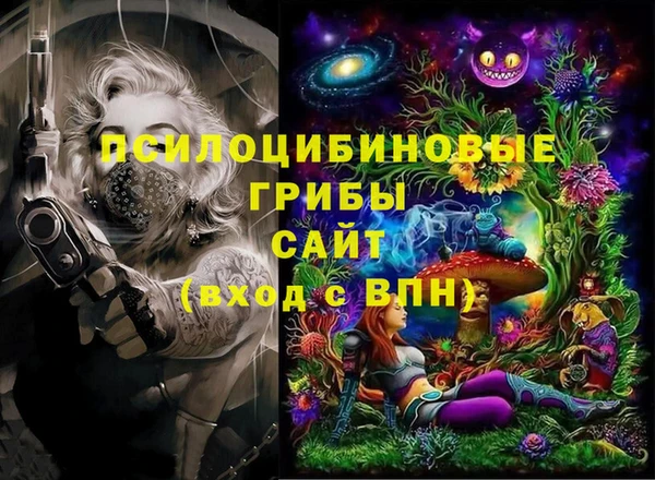 дурь Кинешма
