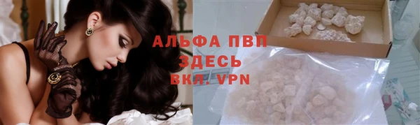 СК Киренск