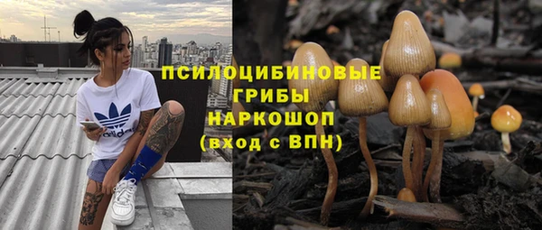 дурь Кинешма